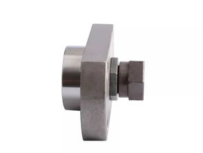 東莞誠(chéng)升 高品質(zhì)精密模具配件專業(yè)廠家