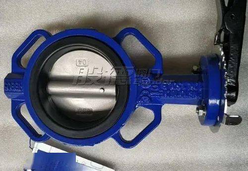 般德案例丨東南亞客戶采購般德蝶閥 閘閥等閥門產(chǎn)品及管道附件