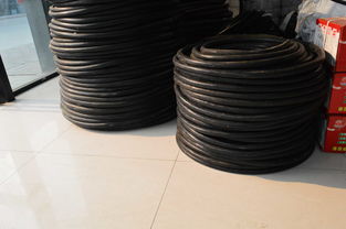 上海保實 yc單芯電纜