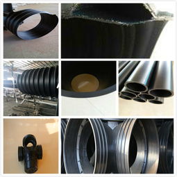 長春 批發 2019價格